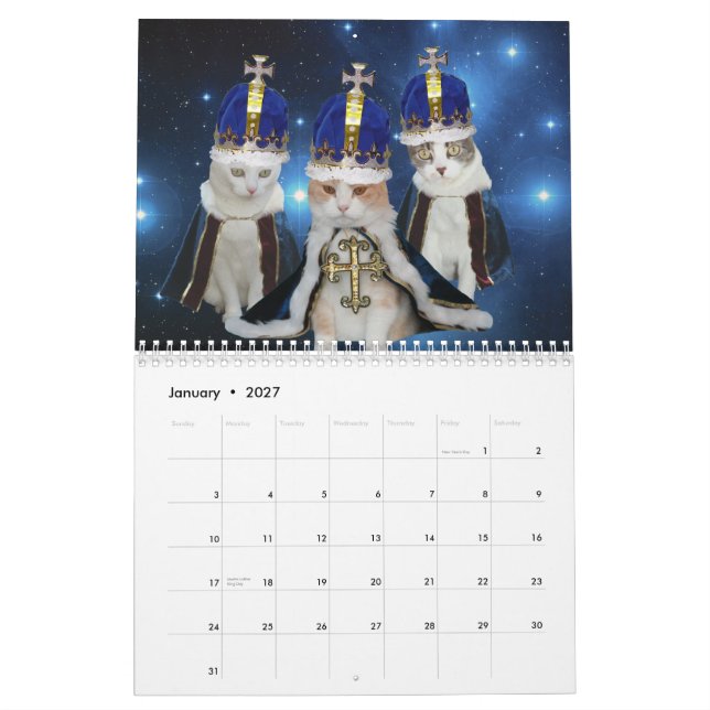 Roliga katter/kattungar kalender (Jan 2027)