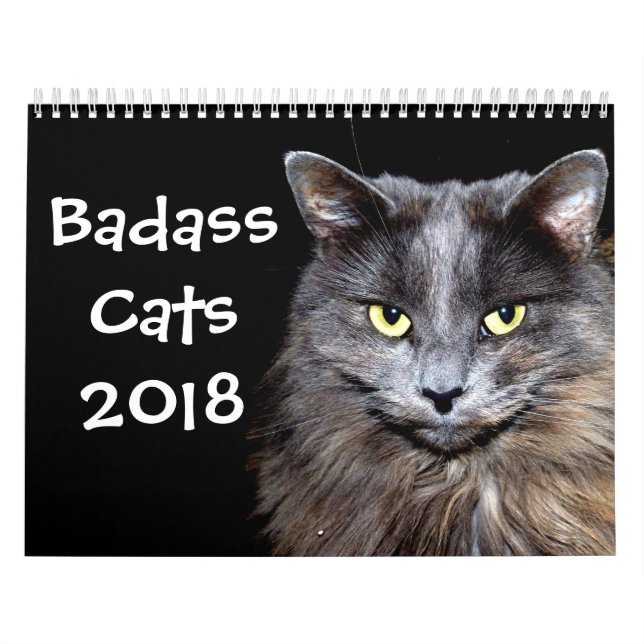 Roliga katter med Catitude Kalender (Omslag)