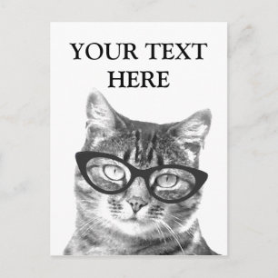Roliga kattfotokort vykort