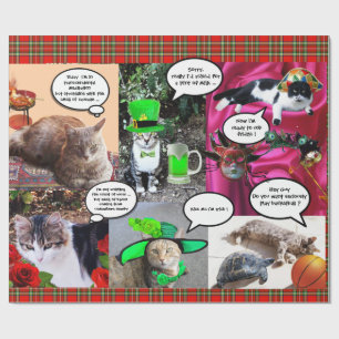 ROLIGA KOMISKA REMSOR /WEIRD som TALAR KATTER, rö Presentpapper