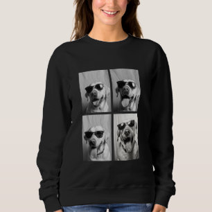 Roliga Labradorhundar med solglasögon Coola djur P T Shirt