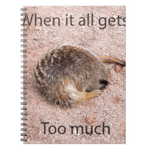 Roliga Meerkat Anteckningsbok Med Spiral
