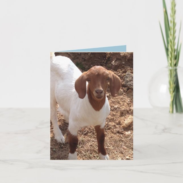 Roliga notecards kort (Framsida)