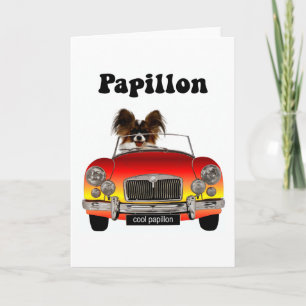Roliga Papillon Kort