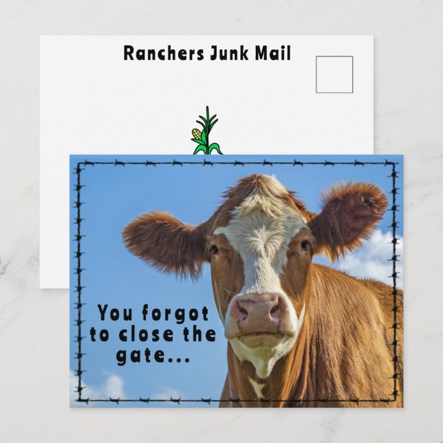 Roliga Ranchers skräppost Country Western-berättel Vykort (Fram/baksida)