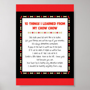 Roliga saker mig som är lärd från min ChowChow Poster