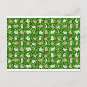 roliga sengångare vykort