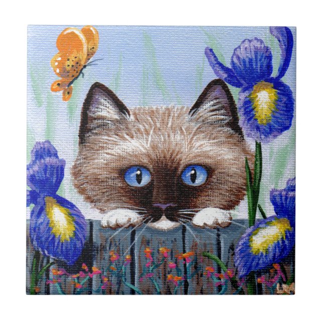Roliga Siamese Ragdoll Burmese kattIrises Kakelplatta (Framsidan)