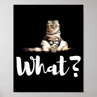 Roliga skotska Fold-katter Vad söta kattungar pres Poster