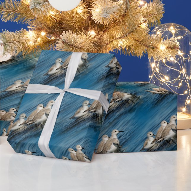 Roliga söta 4 sandpipare vid stranden presentpapper (Helgdagar)