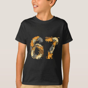Roliga Tabby Katter 6 7 Meme Sex Sju Kärlek Gränd T Shirt