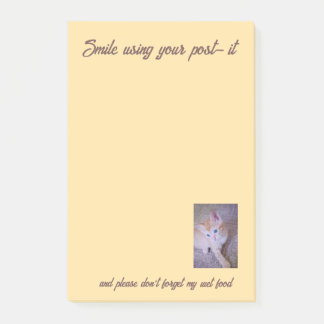 Roliga texter om kattbilder post-it block