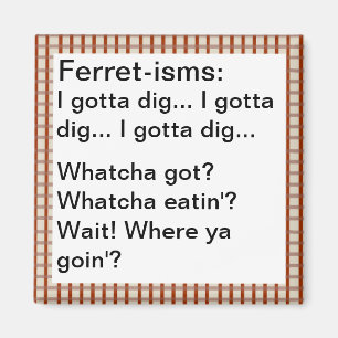 Roliga Vessla-ism citationstecken Magnet