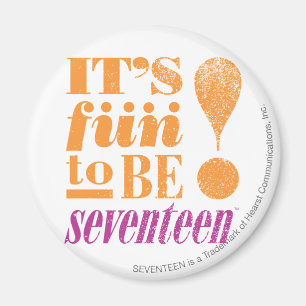 Roligt 2 B 17-Orangars Magnet