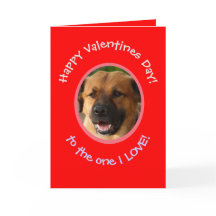 Roligt Alla Hjärtansdag-från hund till ägare Fotok