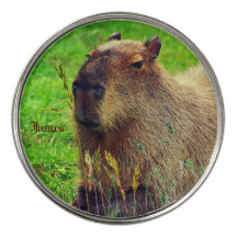 Roligt Animal Capybara