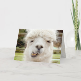 Roligt ansikte för Alpaca Kort