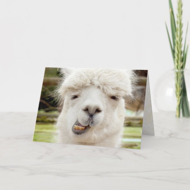 Roligt ansikte för Alpaca Kort (Framsida)