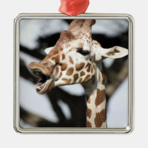 Roligt ansikte nätgiraff, San Francisco Julgransprydnad Metall