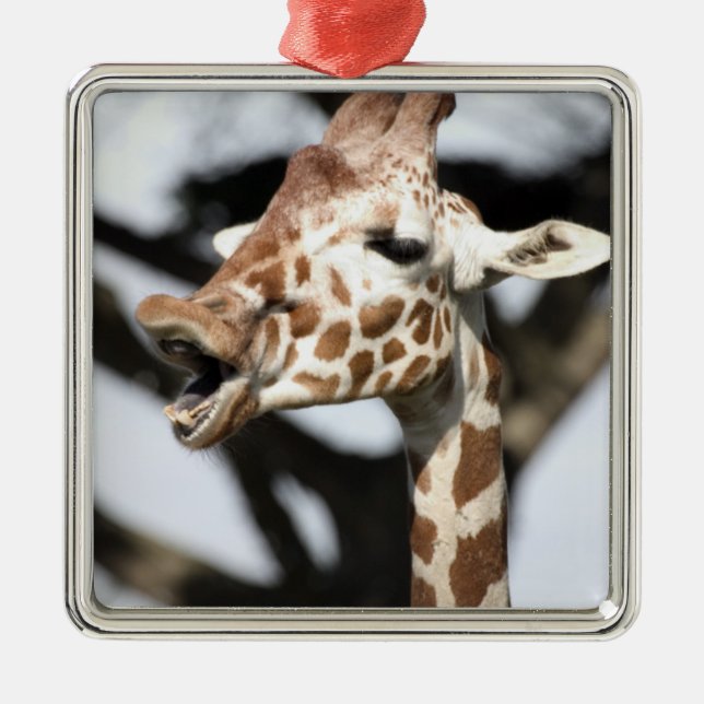 Roligt ansikte nätgiraff, San Francisco Julgransprydnad Metall (Framsidan)