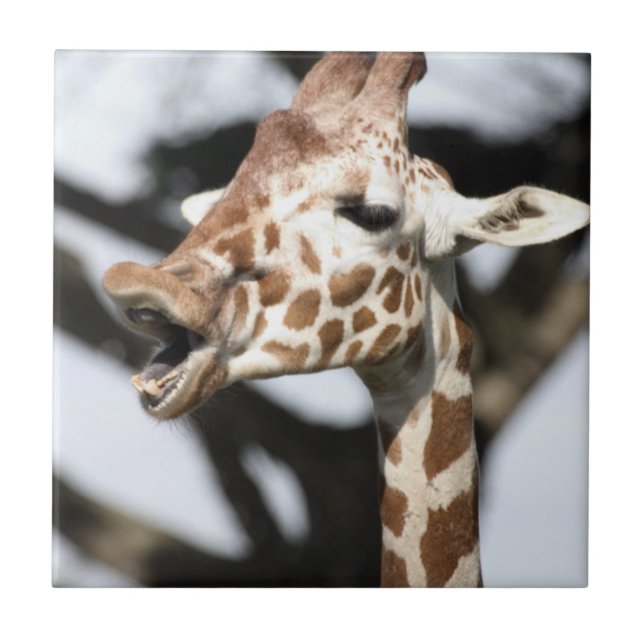 Roligt ansikte nätgiraff, San Francisco Kakelplatta (Framsidan)