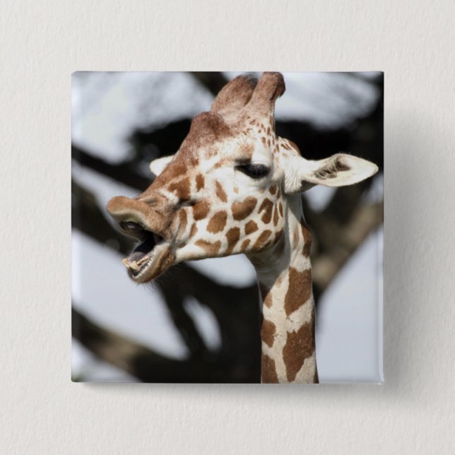 Roligt ansikte nätgiraff, San Francisco Knapp (Framsida)