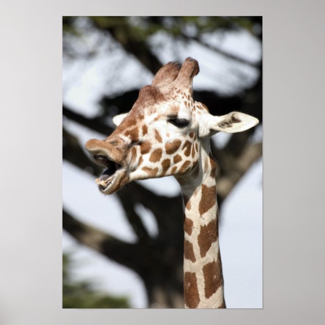 Roligt ansikte nätgiraff, San Francisco Poster (Framsidan)