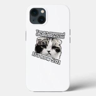 Roligt arg katt-meme för kattägare