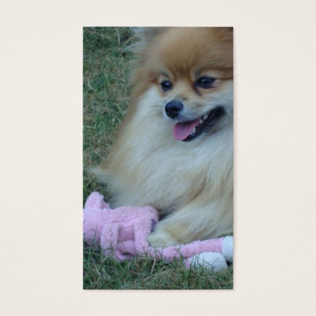 Roligt av skript: Psalm 37:4 Visitkort (Framsidan)