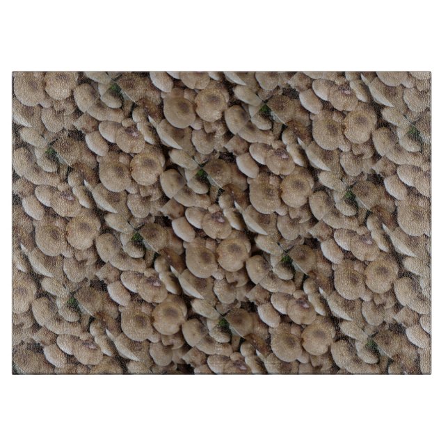 roligt bild av svampar med färska knappar (Framsidan)