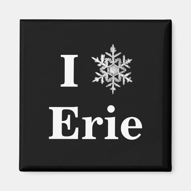 Roligt Black & White I Snowflake City Winter Magne Magnet (Framsidan)