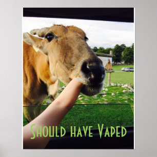 Roligt bör ha den Vaped affischen Poster