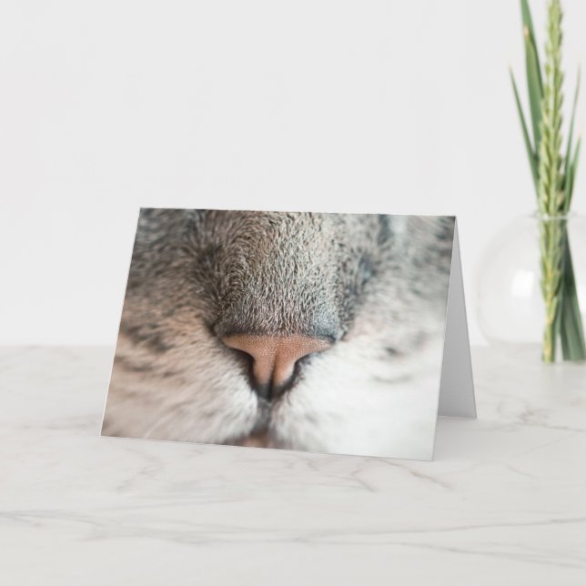 Roligt Cat Lover Birthday Pun-kort Kort (Framsida)