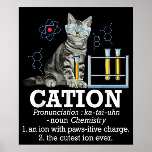 Roligt Chemistry Humor Science Teacher Cat Pun Poster