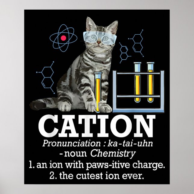 Roligt Chemistry Humor Science Teacher Cat Pun Poster (Framsidan)