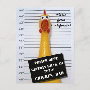Roligt Chicken Beverly Backe Mugshot Postcard! Vykort