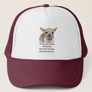 Roligt citat om livet med chihuahua hund keps