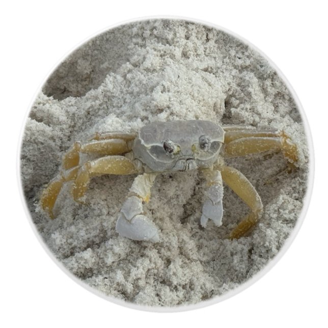 Roligt Crab Ceramic pull Knopp (Framsidan)