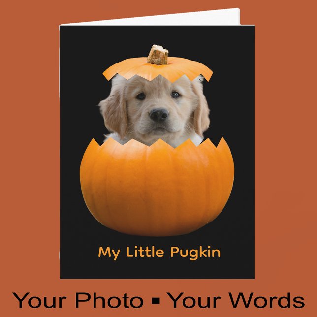 Roligt Cute Personlig Halloween Pumpkin Hund Photo Kort (Skapare uppladdad)