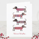 Roligt Dachshund Hund Helgkort<br><div class="desc">Bekvämt lilla Dachshund,  Wiener eller Sause Hundar på mysiga vintertrikåer. Byt hälsning fram och in och även namn för att anpassa sig. Originalkonst av Nic Squirrell.</div>