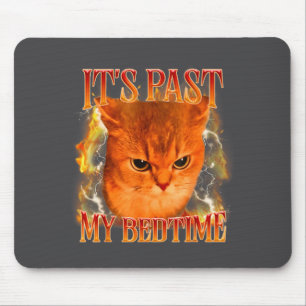 Roligt Det är förbi min lägntid Katt Meme Djur Hum Musmatta