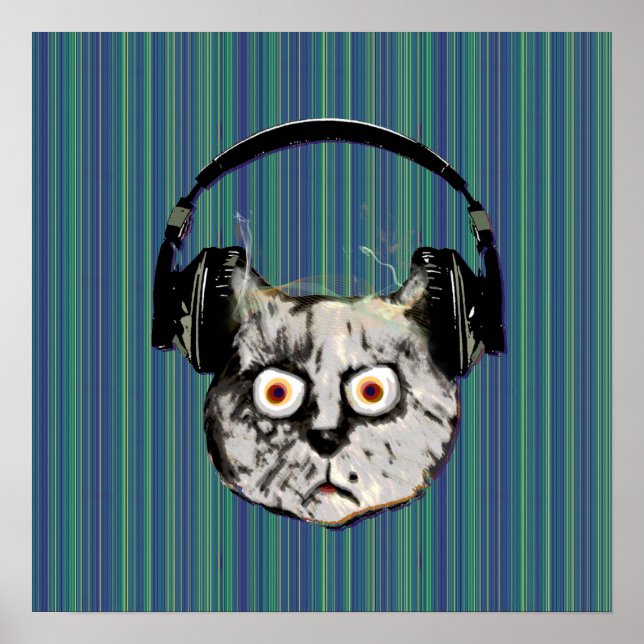 roligt DJ-katt Poster (Framsidan)