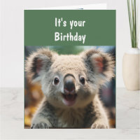 Roligt Djur Humor Koala Kvalitet Roligt