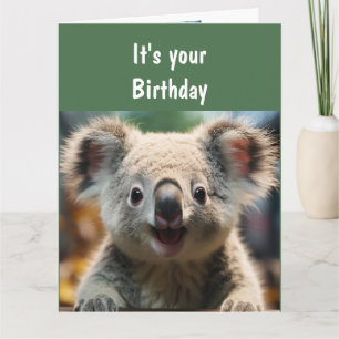 Roligt Djur Humor Koala Kvalitet Roligt Kort