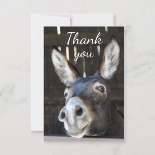 Roligt Donkey, Burro, Farm Animal Humor Tack Kort