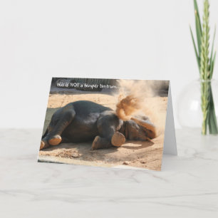 Roligt Elephany födelsedagkort, ingen mer Kort