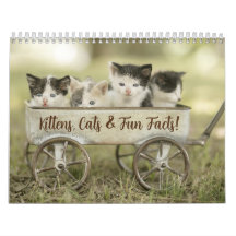 Roligt Facts Kitten Cat Calendar