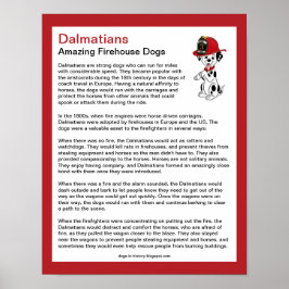 Roligt Facts om Dalmatier Firehouse Hundar Poster