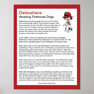 Roligt Facts om Dalmatier Firehouse Hundar Poster