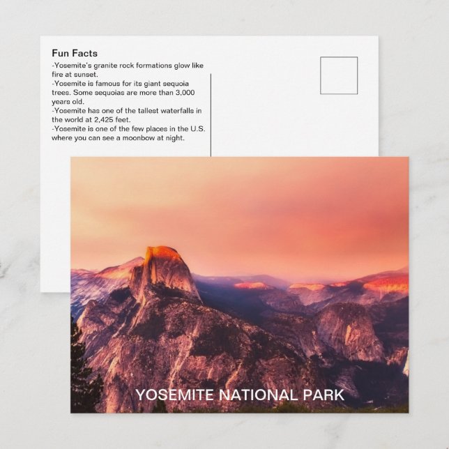 Roligt Facts Yosemite nationalpark Vykort (Fram/baksida)